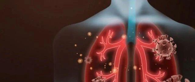 1be598b2331d4217856116b5d6fd5b22.jpeg 1be598b2331d4217856116b5d6fd5b22.jpeg